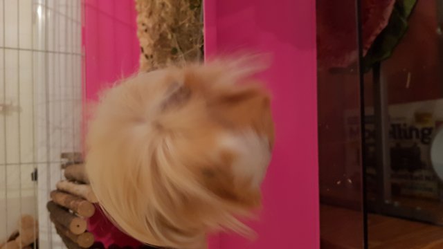 20190907_2100